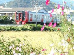 窓から見える電車