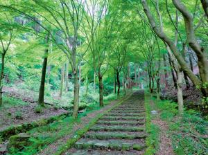 自然環境、生活環境に関する事業のイメージ