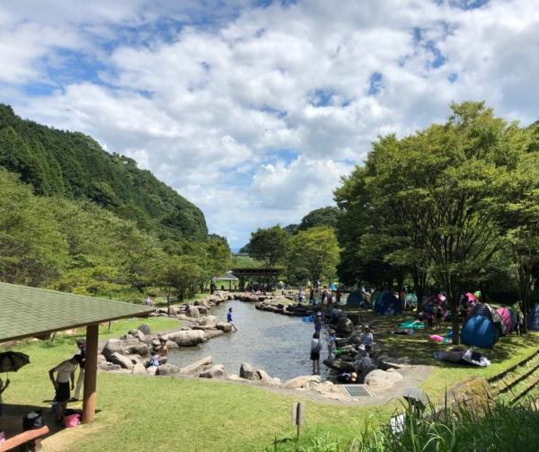 プール全景