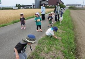 園外保育