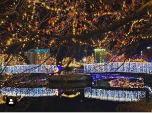 イルミネーションその1