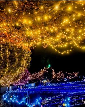 イルミネーションその3