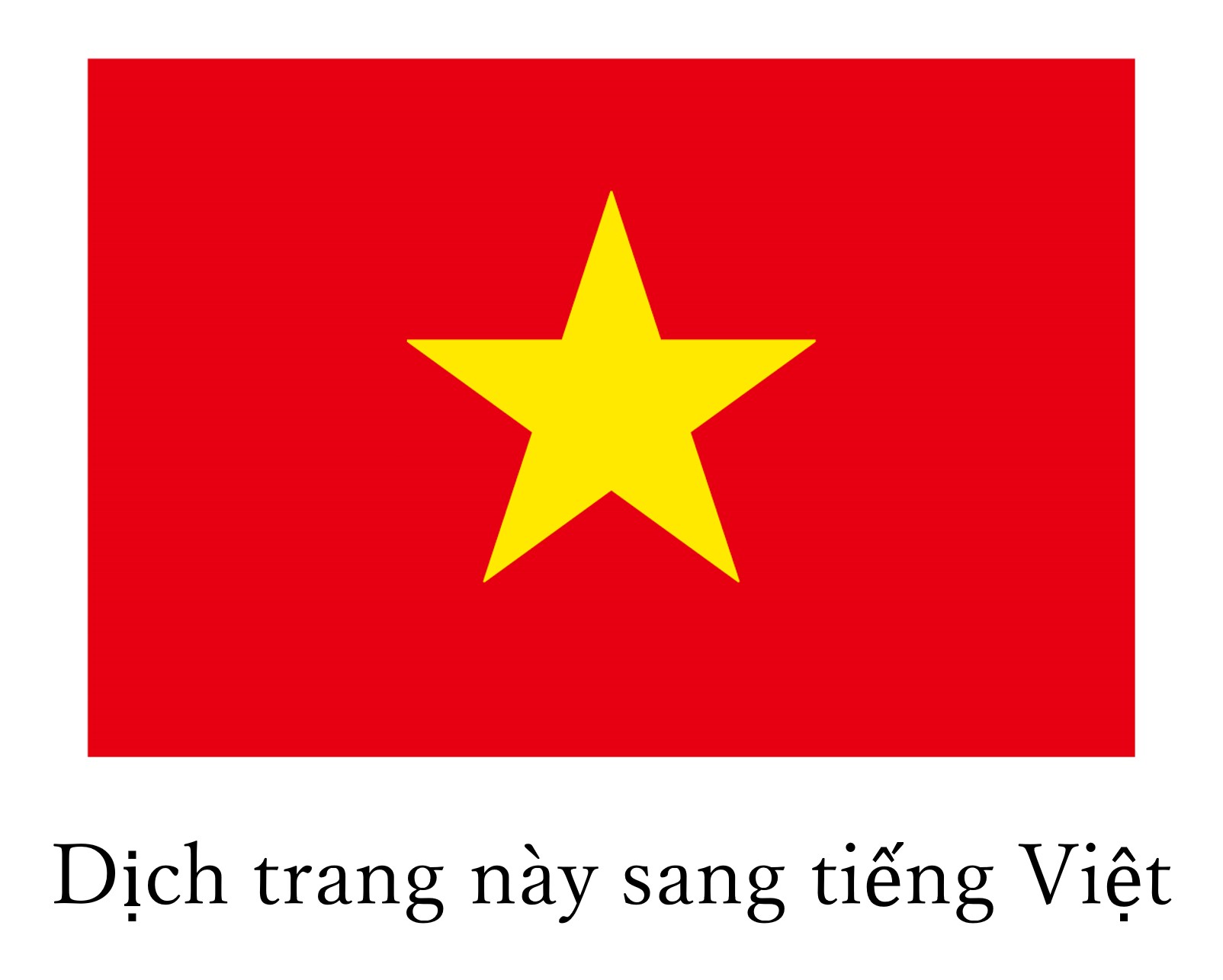 ベトナムの国旗