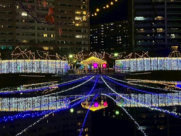 ハートライトフェスタ