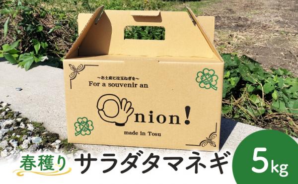 謝礼品紹介その5・たまねぎ（基里OKファーム）