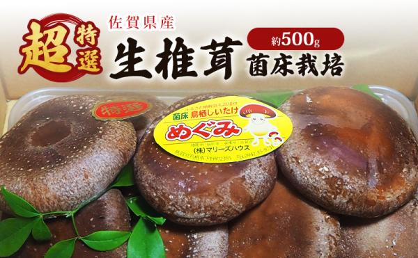 謝礼品紹介その5・しいたけ