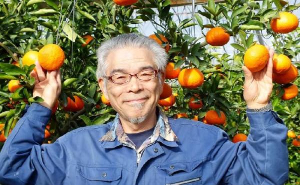 恵味香イメージ