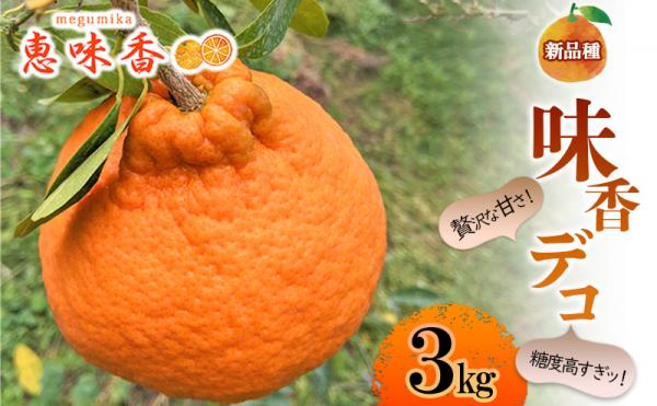 謝礼品紹介その6・佐賀みかん