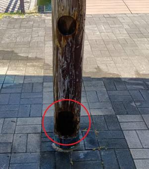 被害状況