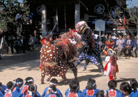 藤木の獅子舞の画像