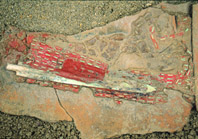 赤漆玉鈿装鞘銅剣の画像