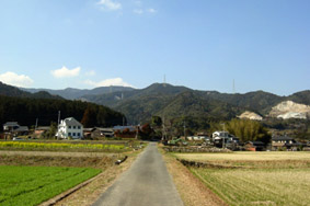  伝　勝尾城登城道(正面奥が勝尾城)　の画像