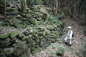 勝尾城石垣（横から）の画像