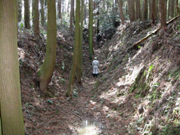 葛籠城の空堀の画像