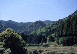 鬼ヶ城（東から）の画像