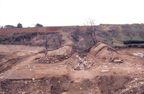 総構空堀（発掘調査時・東から）の画像