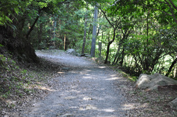 途中の山道