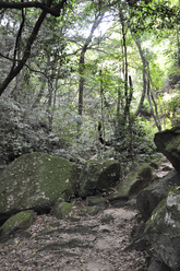 第1の滝へ続く山道