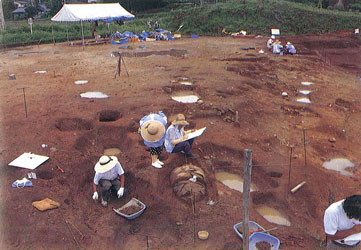 安永田遺跡発掘の様子の画像
