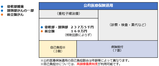 重粒子線がん治療の費用負担イメージの画像1