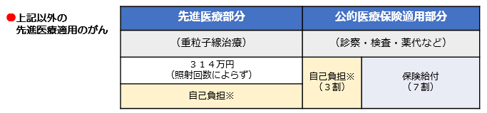 重粒子線がん治療の費用負担イメージの画像2