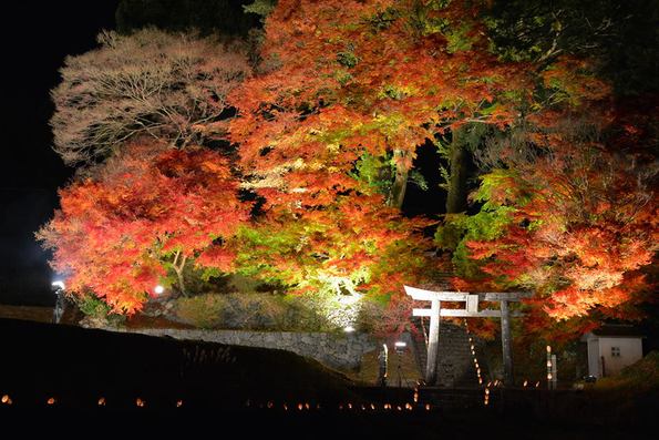 大山祇神社ライトアップ