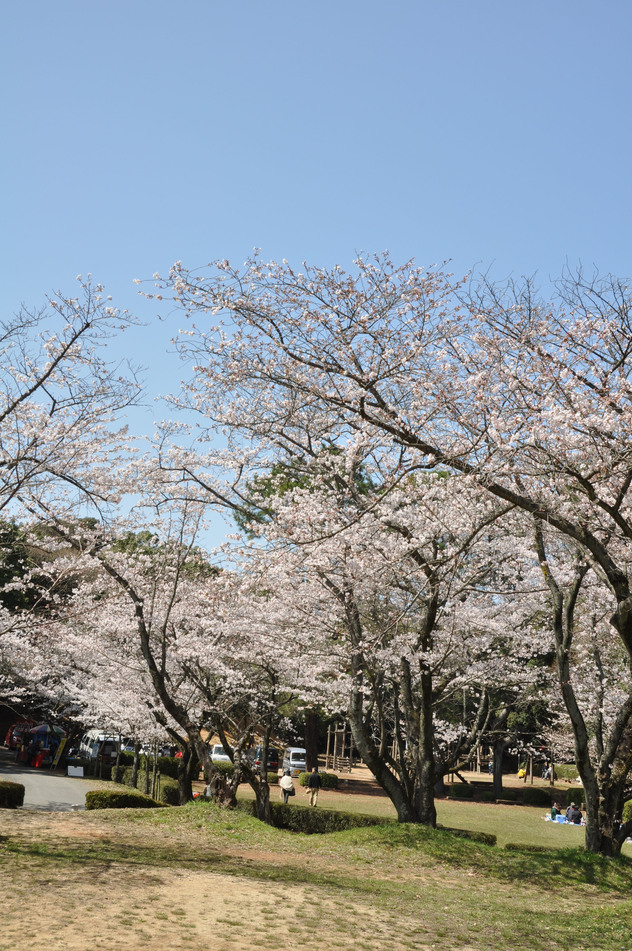 田代公園の画像