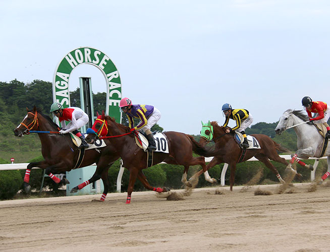 佐賀競馬場の画像