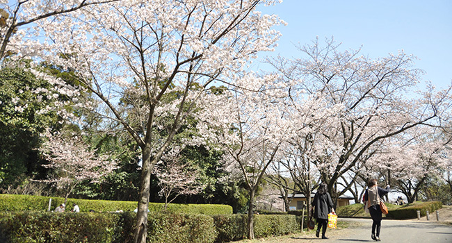 田代公園の画像