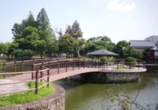 中央公園の画像