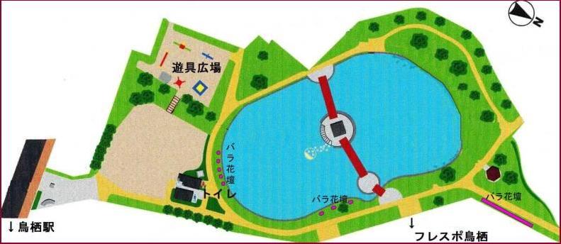 中央公園案内図の画像