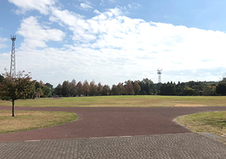 東公園の画像2