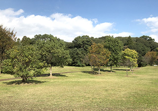 東公園（時の門）の画像2