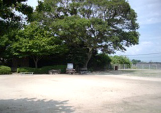 桜町公園の画像