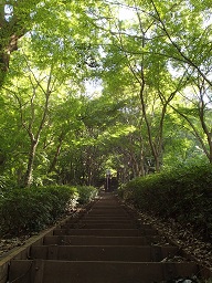 朝日山公園トレーニング階段の段数表示をしましたの画像7