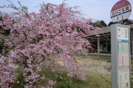 とりごえ温泉　栖の宿の画像2