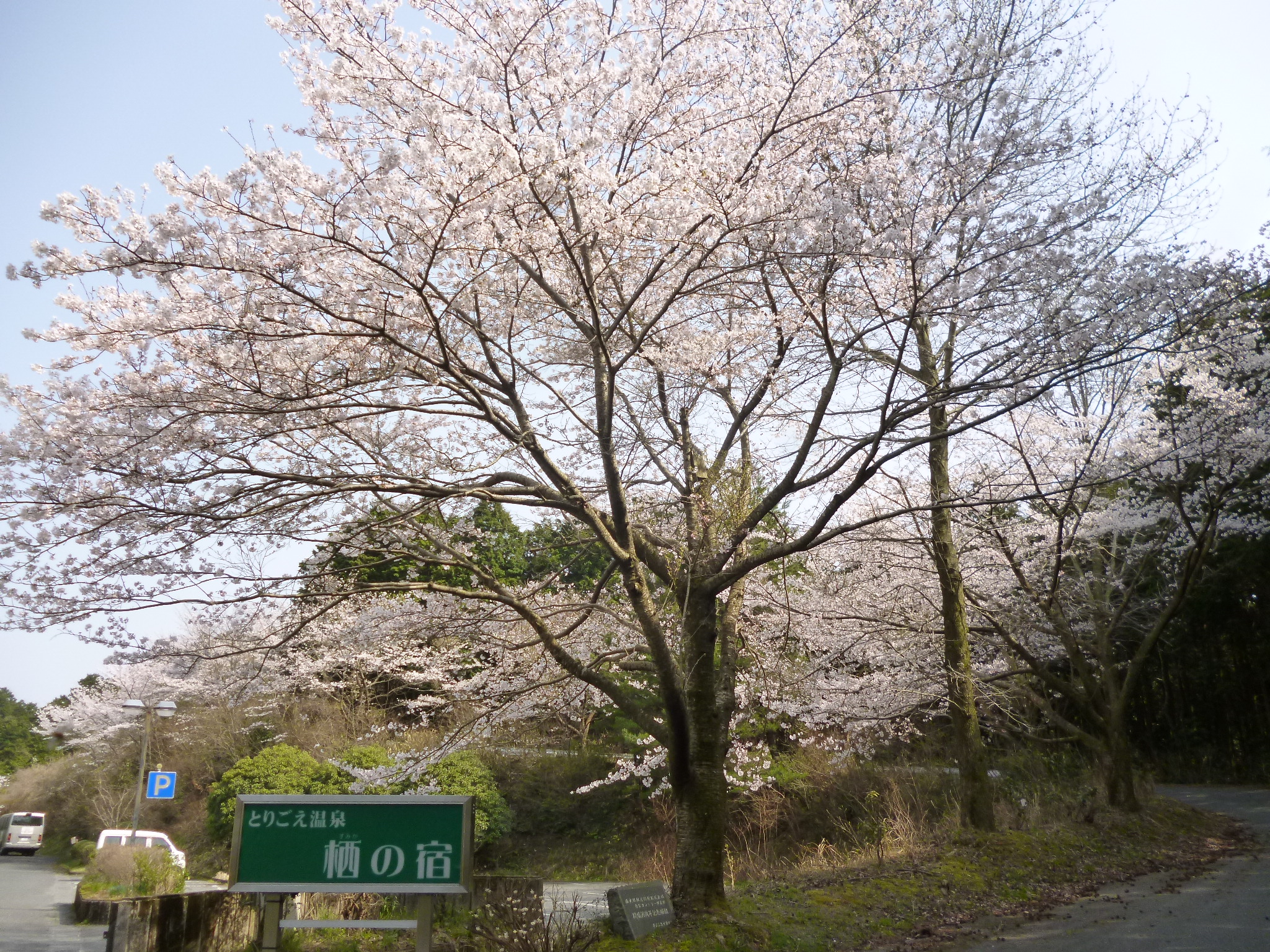 とりごえ温泉　栖の宿の画像5