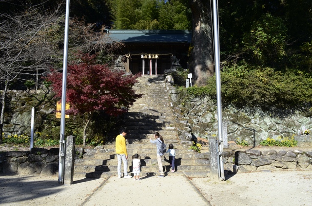 長い石段の参道は、社殿の建つ上の境内へと続いているの写真