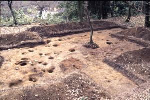 発掘調査中の館跡