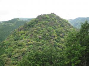 鬼ヶ城の遠景